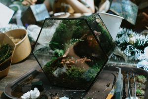 Terrarium Workshop - La Maison Verte Workshop
