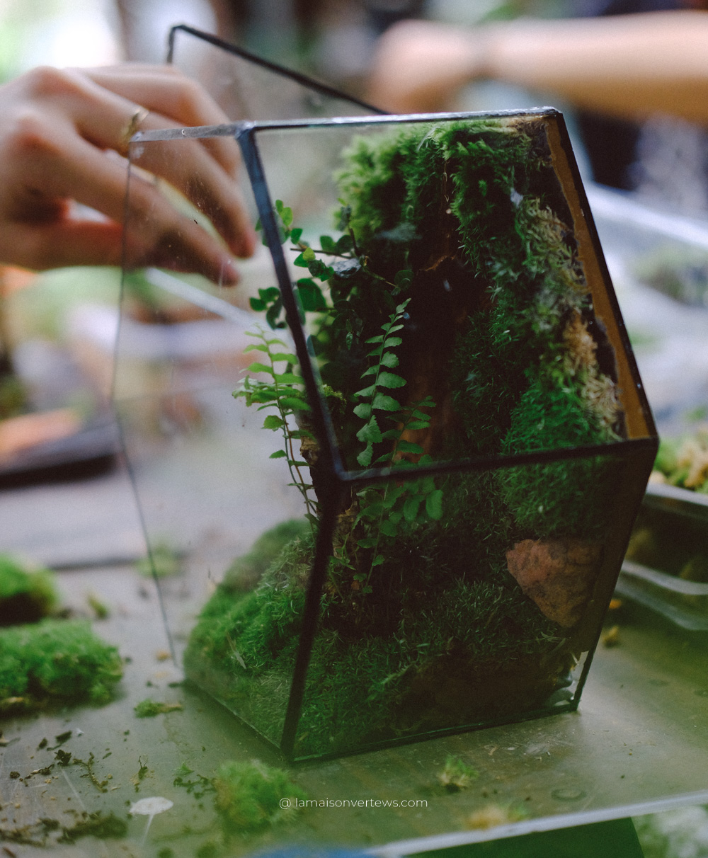 La Maison Verte -Terrarium Workshop