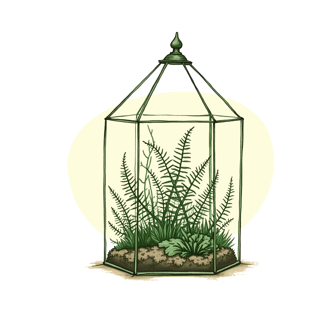 Terrarium Workshop - Workshop trồng cây - La Maison Verte