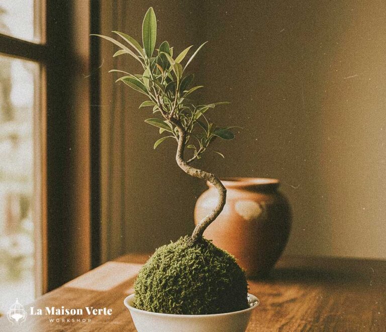 Kokedama và triết lý Wabi-sabi: Vẻ đẹp không hoàn hảo | La Maison Verte WS