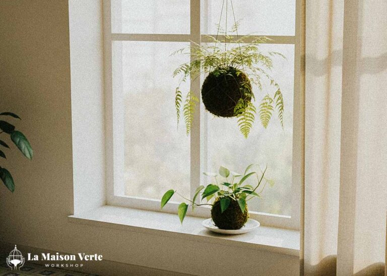 Vì Sao Kokedama Phù Hợp Với Lối Sống Đô Thị? | La Maison Verte WS