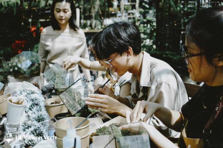 Đêm Giáng Sinh “Không Tuyết” | La Maison Verte Ws