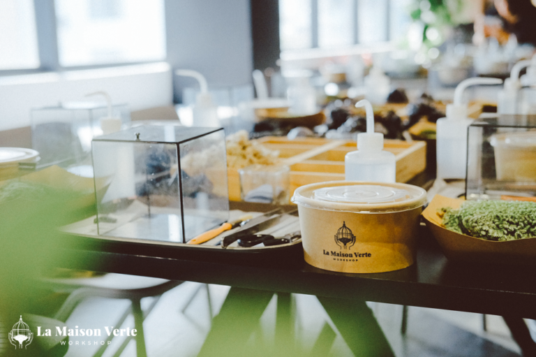 recap-terrarium-workshop-la-maison-verte-ws-porsche-vietnam-3