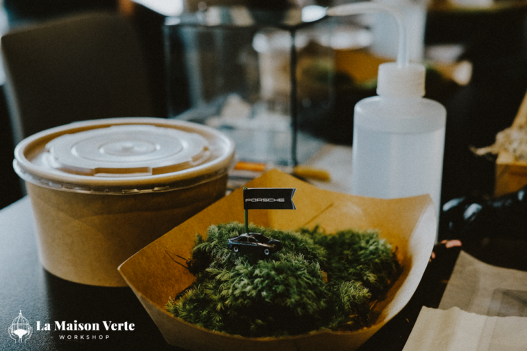 recap-terrarium-workshop-la-maison-verte-ws-porsche-vietnam