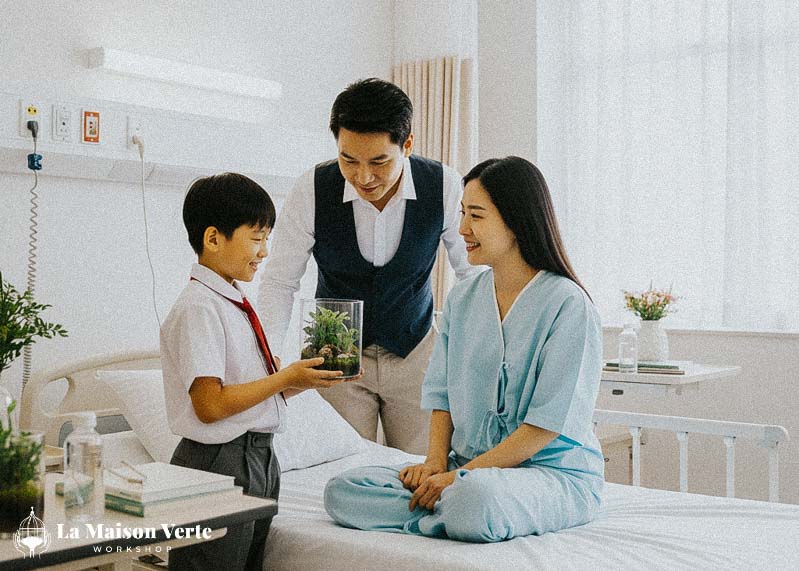 Sống xanh sống khỏe - những lợi ích terrarium mang đến cho bạn về sức khỏe tinh thần | La Maison Verte WS