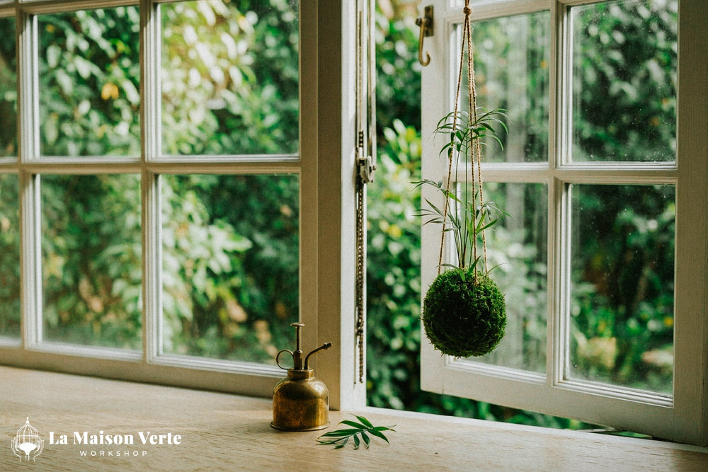 Kokedama - Kẻ Độc Hành Giữa Thế Giới Màu Xanh | La Maison Verte WS
