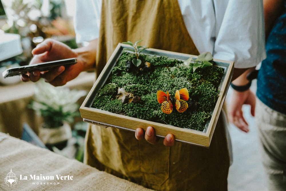 Moss Art - Nốt lặng xanh xoa dịu những ngày chênh vênh | La Maison Verte WS