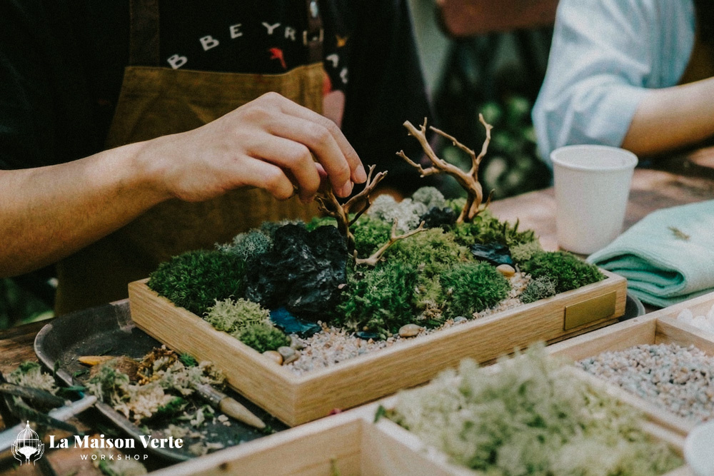 Moss Art - Nốt lặng xanh xoa dịu những ngày chênh vênh | La Maison Verte WS