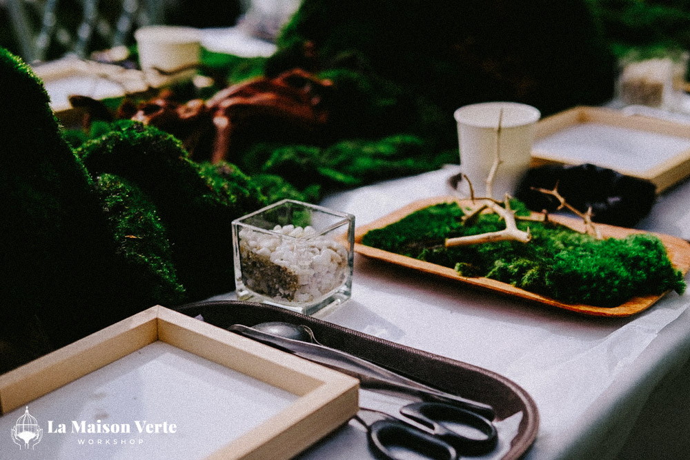 Moss Art - Nốt lặng xanh xoa dịu những ngày chênh vênh | La Maison Verte WS