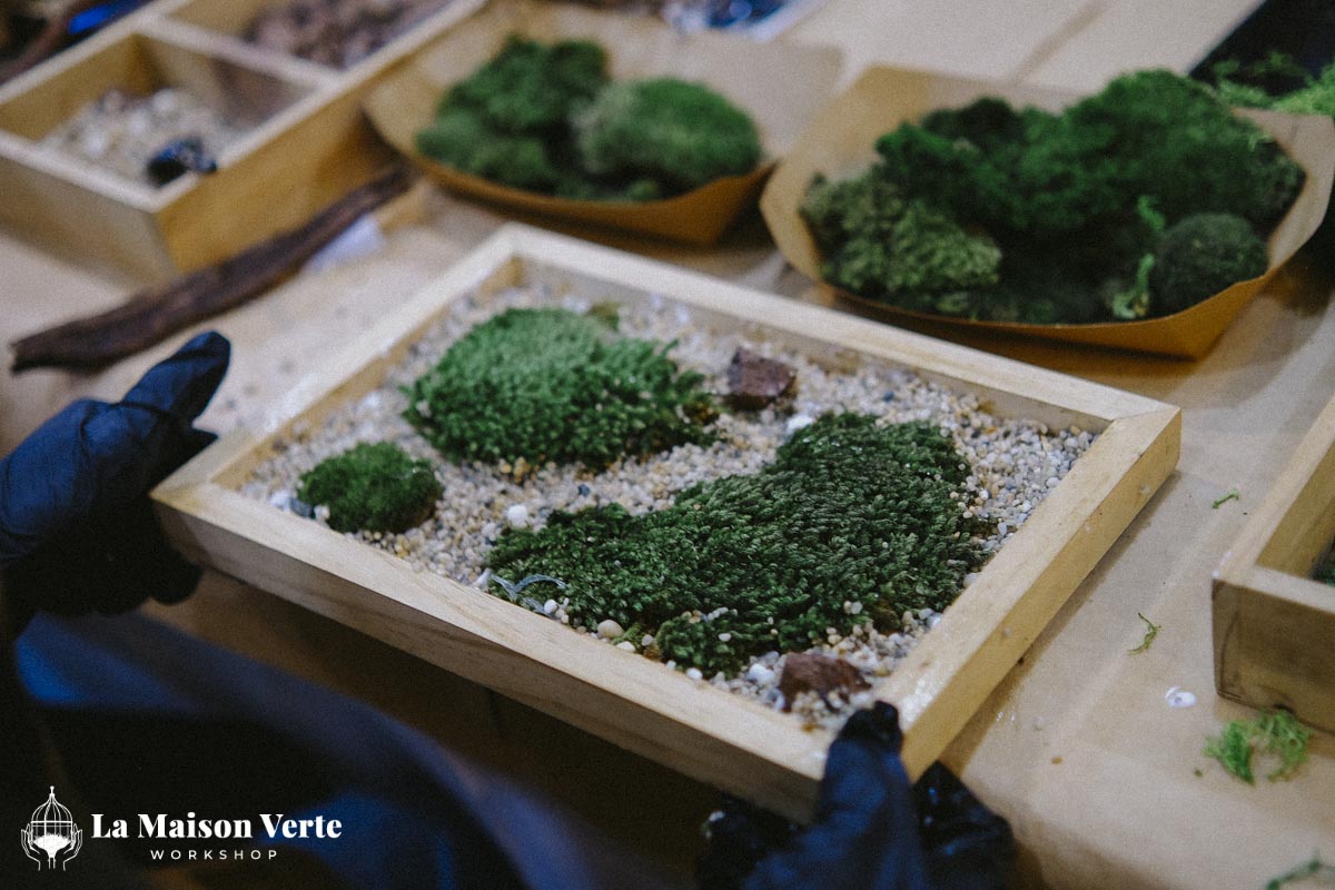 Nhật Ký Moss Art Workshop 27/12/2025 | Workshop thủ công g