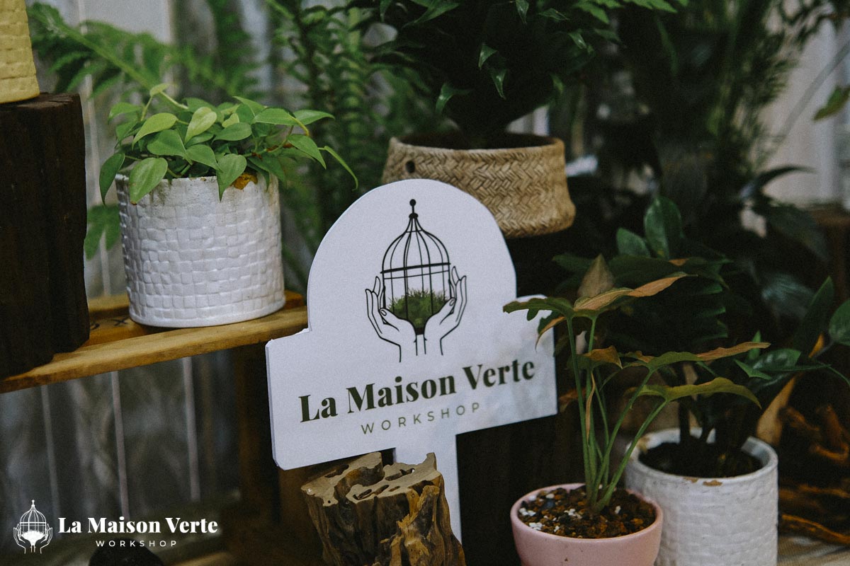 Nhật Ký Moss Art Workshop 27/12/2025 | Workshop thủ công g