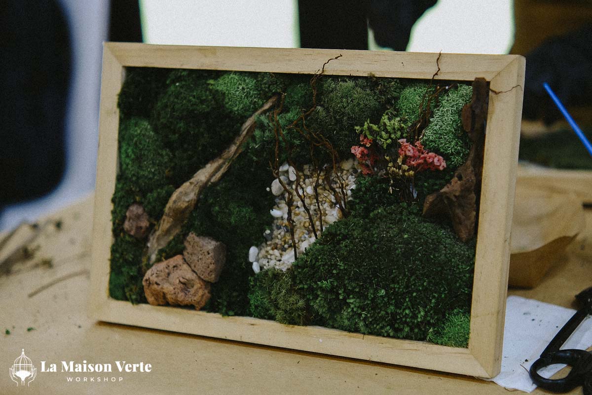Nhật Ký Moss Art Workshop 27/12/2025 | Workshop thủ công g
