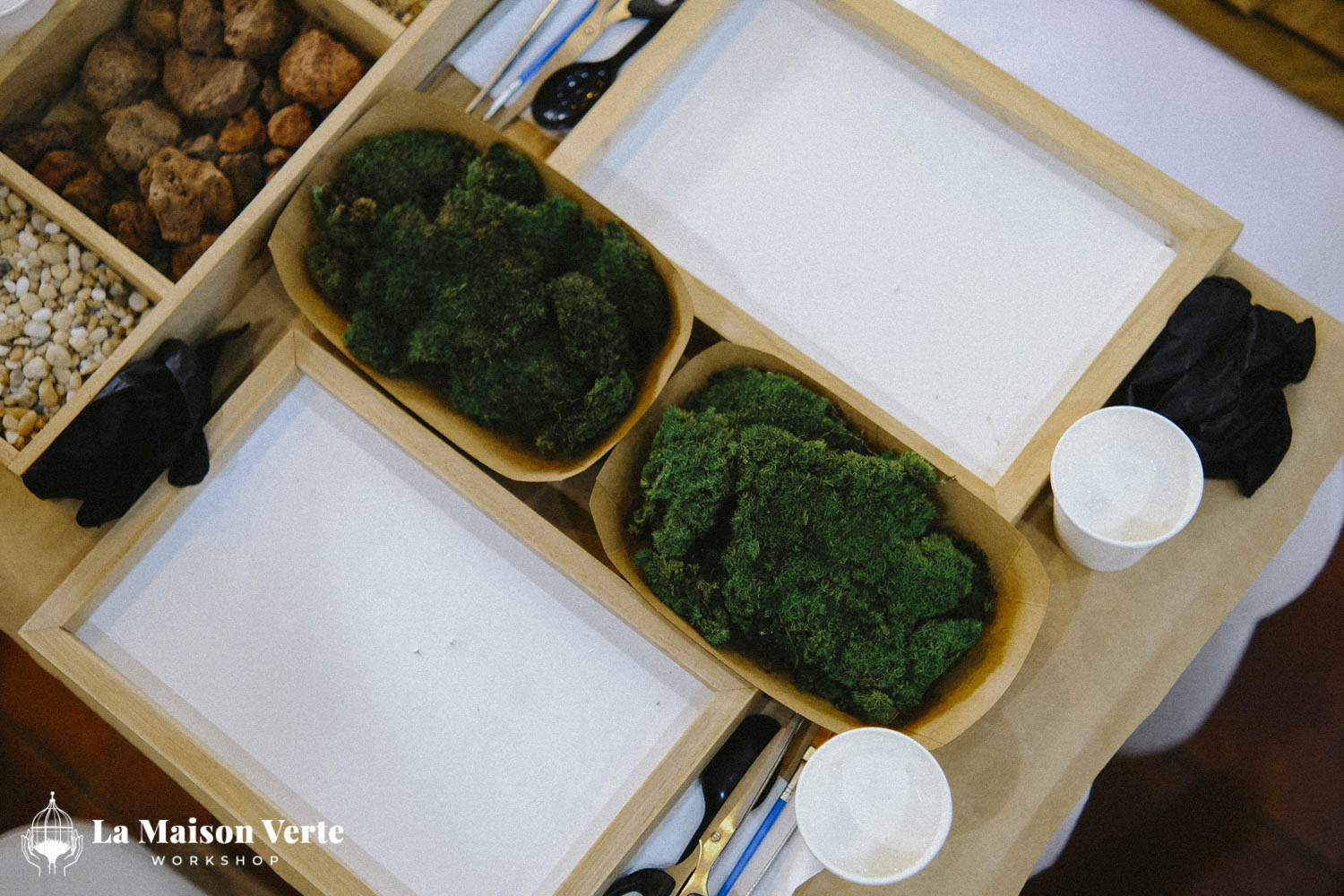 Nhật Ký Moss Art Workshop 27/12/2025 | Workshop thủ công g