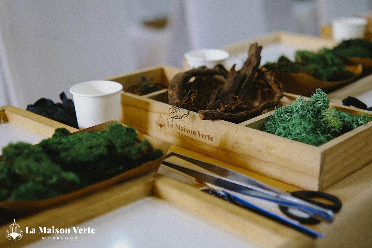 Nhật Ký Moss Art Workshop 27/12/2025 | Workshop thủ công g