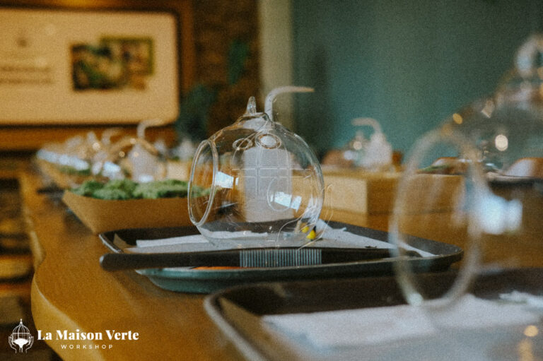 Nhật ký Terrarium Workshop 6/3/2026 | La Maison Verte Worksho