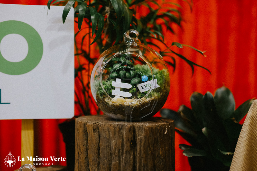 Nhật ký Terrarium Workshop 6/3/2026 | La Maison Verte Worksho