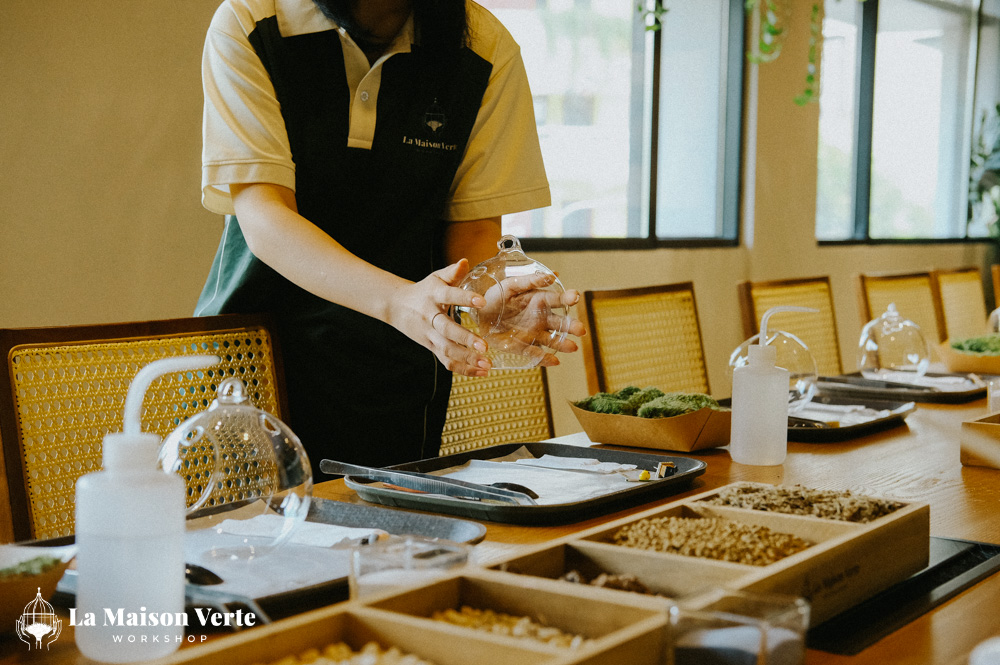 Nhật ký Terrarium Workshop 6/3/2026 | La Maison Verte Worksho