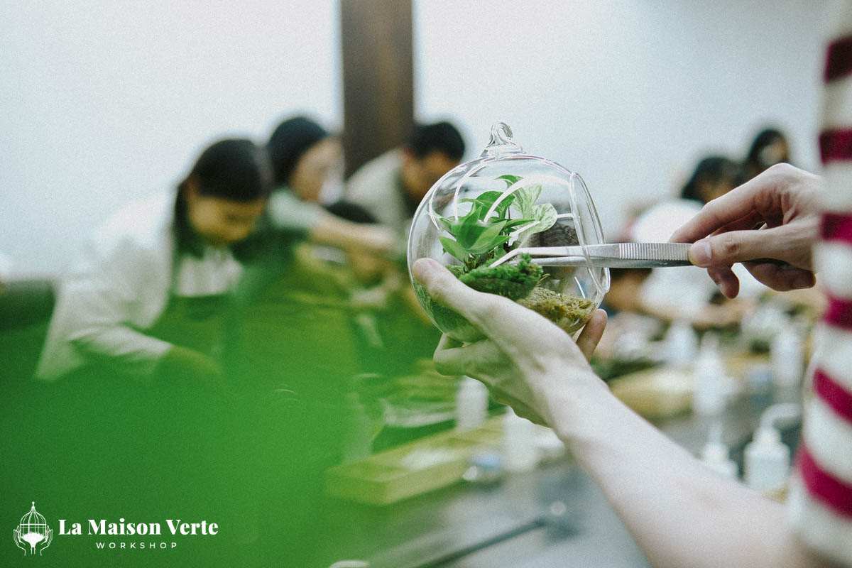 Nhật ký Terrarium Workshop | La Maison Verte Workshop x Kido