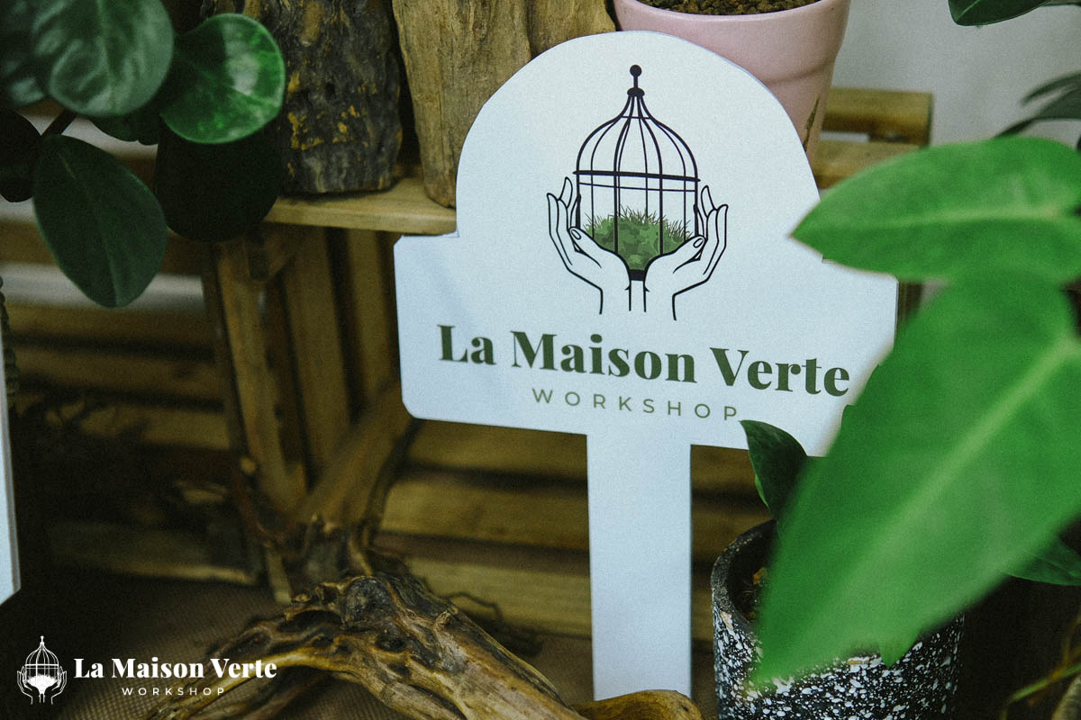 Nhật ký Terrarium Workshop | La Maison Verte Workshop x Kido