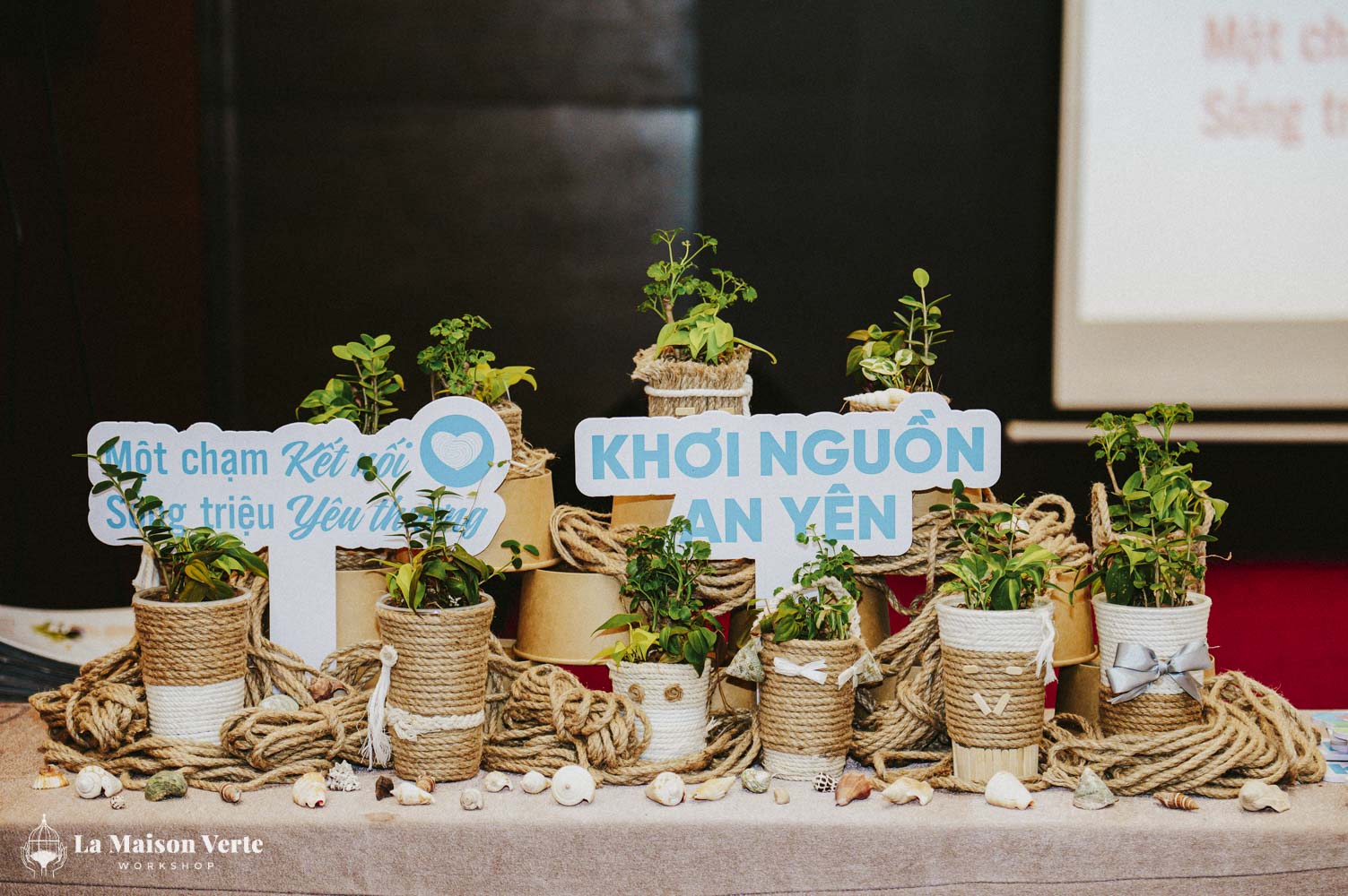 Nhật ký Zen Workshop Tái Chế “Khởi Nguồn An Yên”