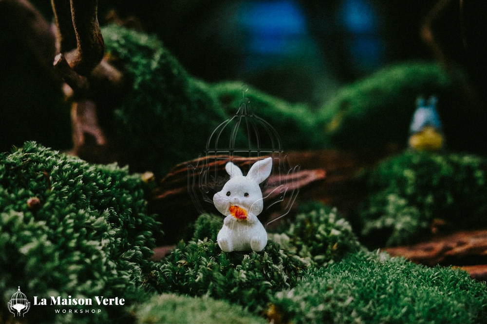 Terrarium - Nghệ Thuật Kiến Tạo “Vũ Trụ Xanh” | La Maison Verte WS