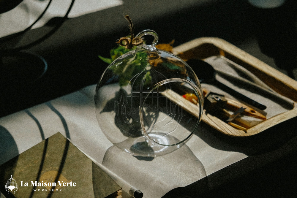 Terrarium - Nghệ Thuật Kiến Tạo “Vũ Trụ Xanh” | La Maison Verte WS