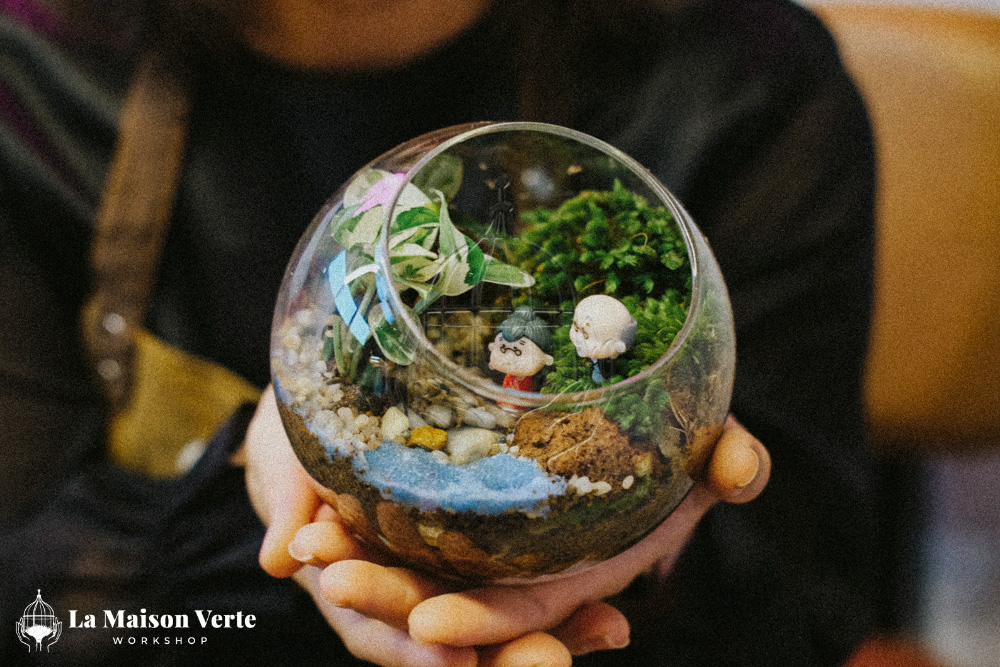 Terrarium - Nghệ Thuật Kiến Tạo “Vũ Trụ Xanh” | La Maison Verte WS