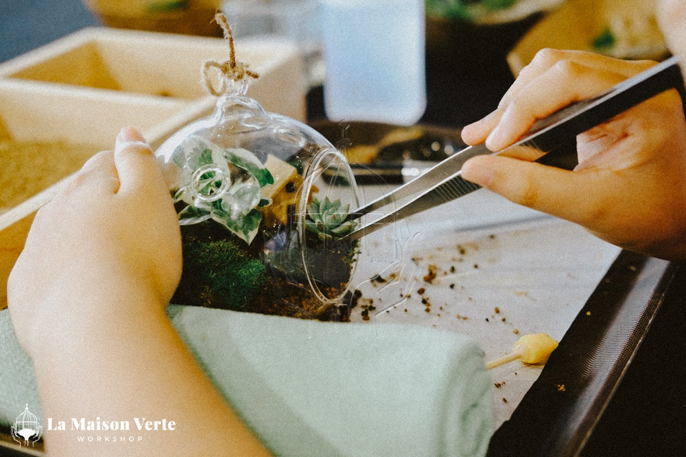 Terrarium - Nghệ Thuật Kiến Tạo “Vũ Trụ Xanh” | La Maison Verte WS