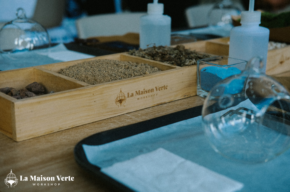 Nhật ký Terrarium Workshop 28/2 | La Maison Verte Workshop x CIS