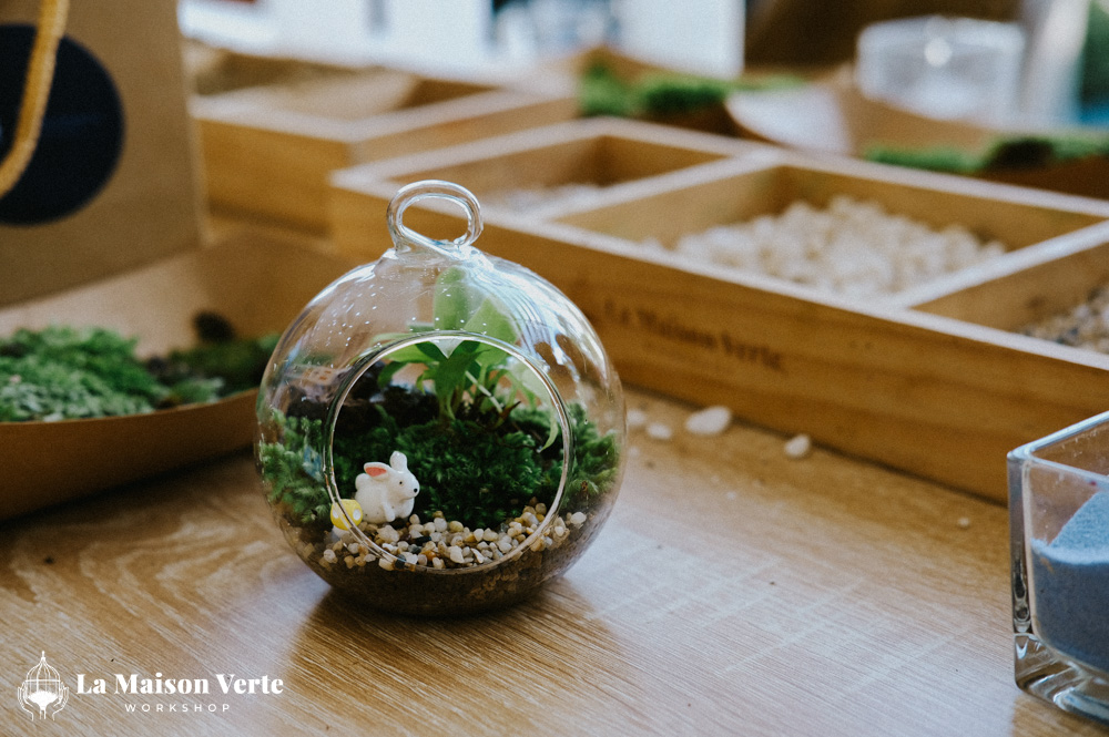 Nhật ký Terrarium Workshop 28/2 | La Maison Verte Workshop x CIS
