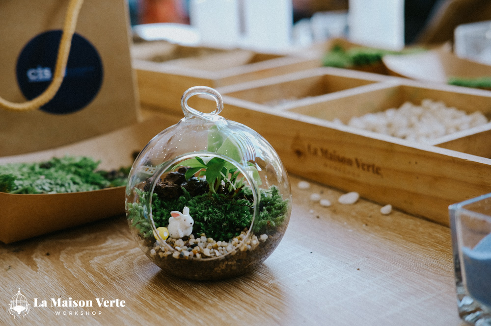 Nhật ký Terrarium Workshop 28/2 | La Maison Verte Workshop x CIS