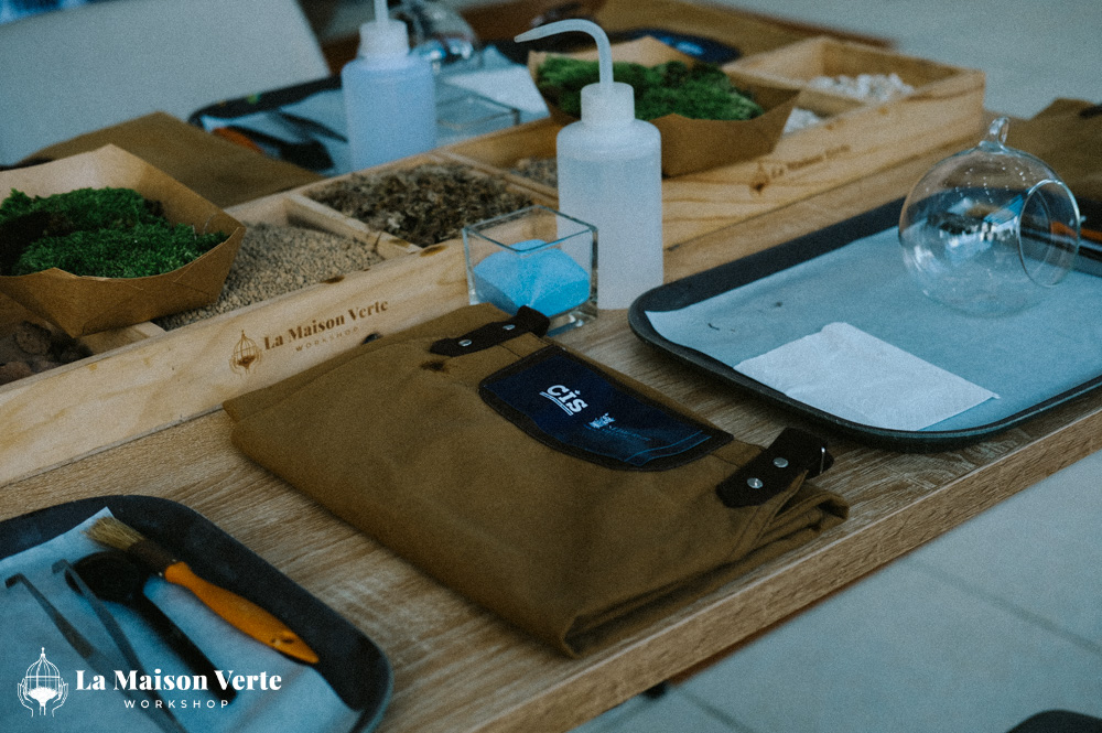 Nhật ký Terrarium Workshop 28/2 | La Maison Verte Workshop x CIS
