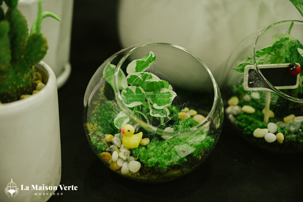 Nhật Ký Terrarium Workshop 18/04/2026 | La Maison Verte Works