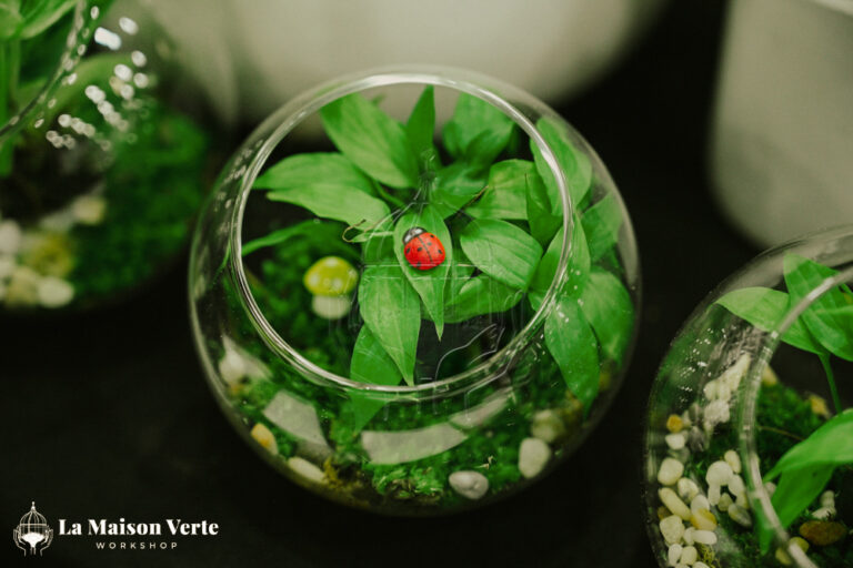 Nhật Ký Terrarium Workshop 18/04/2026 | La Maison Verte Works
