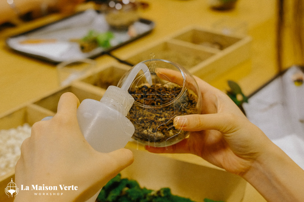 Nhật Ký Terrarium Workshop 23/04/2026 | La Maison Verte Works