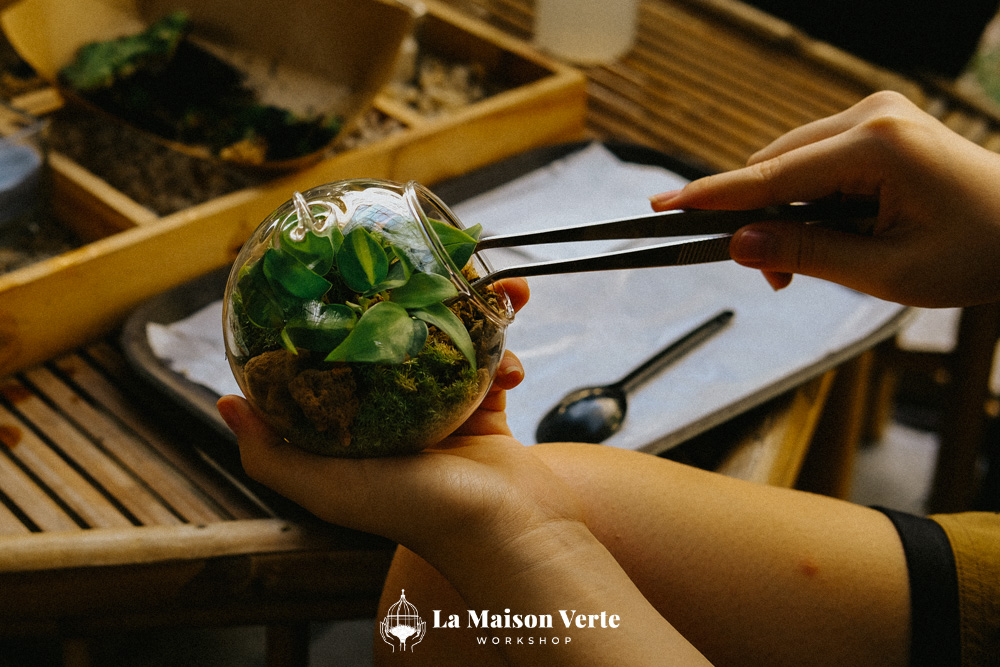 Nhật Ký Terrarium Workshop 10/04/2026 | La Maison Verte Works
