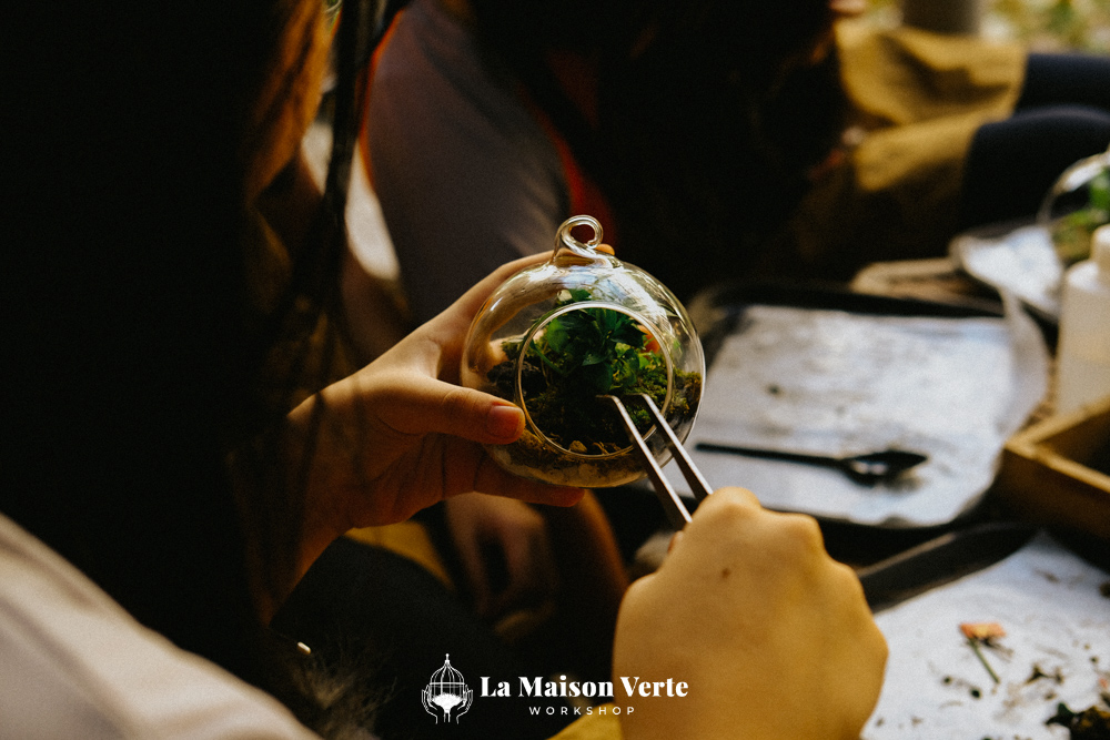 Nhật Ký Terrarium Workshop 10/04/2026 | La Maison Verte Works