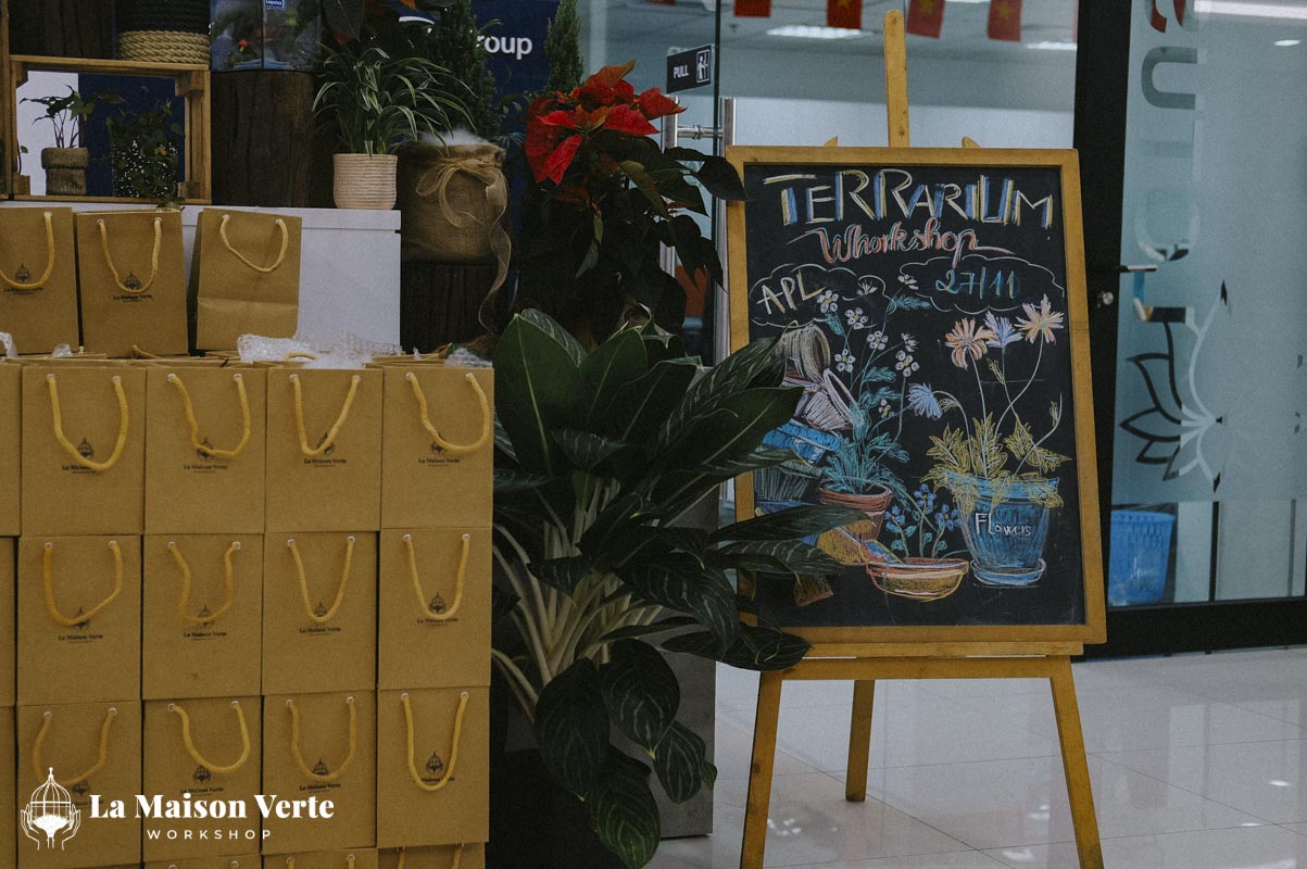 Nhật Ký Terrarium Workshop | La Maison Verte Workshop x APL L