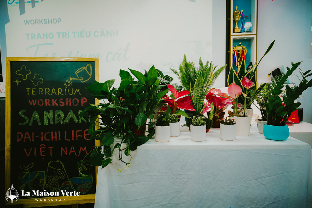 Nhật ký Workshop Terrarium Sand Art 23/05/2026 | La Maison Verte Workshop x Dai-ichi Life Hà Nội
