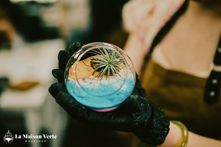 Nhật ký Workshop Terrarium Sand Art 23/05/2026 | La Maison Ve