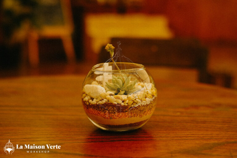 Nhật ký Workshop Terrarium Sen Đá 22/05/2026 | La Maison Verte Workshop x UTS