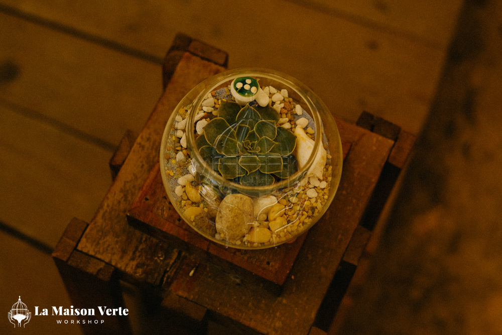 Nhật ký Workshop Terrarium Sen Đá 22/05/2026 | La Maison Verte Workshop x UTS